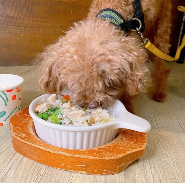 森林小徑健行店對寵物超友善